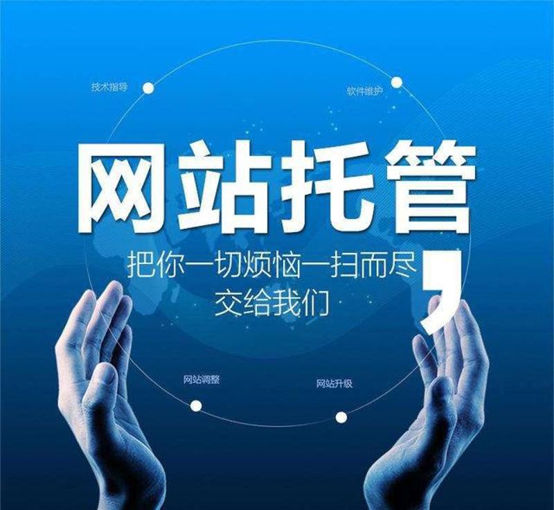 站群程序的技术演进与算法适应：从批量建站到AI驱动的内容生态重构